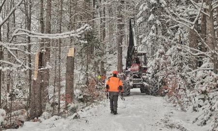 Verkehrssicherung rund um Zwieslerwaldhaus