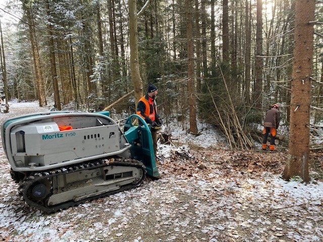 Um das Finsterauer Filz zu verbessern, werden derzeit Birken entfernt und mit Hilfe einer Raupe aus dem Moor gebracht, um freie Flächen zu schaffen. Im winterlichen Wald arbeiten zwei Personen in Schutzkleidung. Eine kleine Raupe mit Kettenfahrwerk hilft dabei, gefällte Birken aus dem Moorbereich zu ziehen.