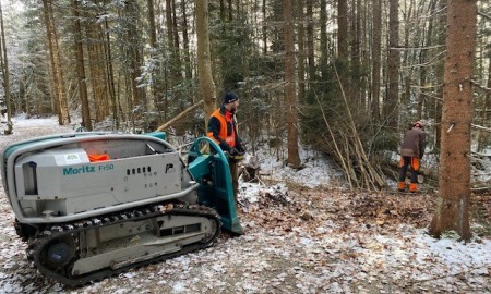 Mehr Licht fürs Finsterauer Filz