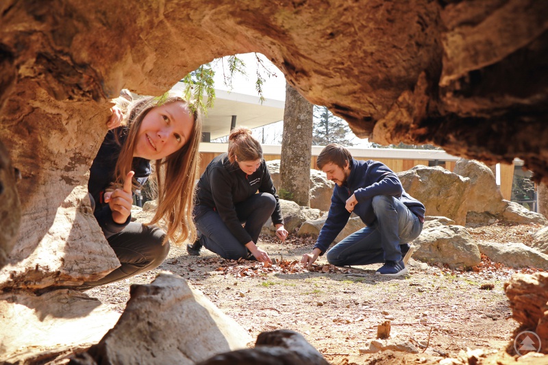 Bei der Einführungswoche der Praktikanten stand auch das Thema Wildnis entdecken ganz groß auf dem Stundenplan.