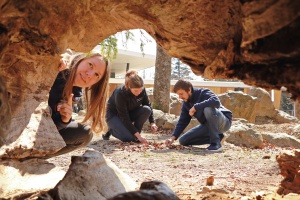 Wilde Chance für den Berufseinstieg