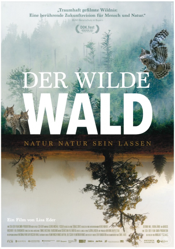 Imposante Einblicke in die unberührte Natur des Nationalparks Bayerischer Wald liefert der Kinofilm