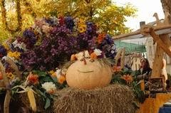 Flyer/Grafik zum Event: Herbstmarkt & Erntedankfest am Marktplatz Schönberg am So., 06.10.2024 von 10:00 bis 17:00 Uhr