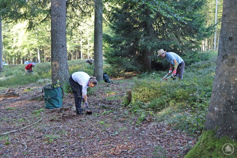 Mit allerlei Werkzeug ausgestattet gingen die Helfer hereindrängendem Baumbewuchs und sich ausbreitenden Heidelbeeren an den Kragen.