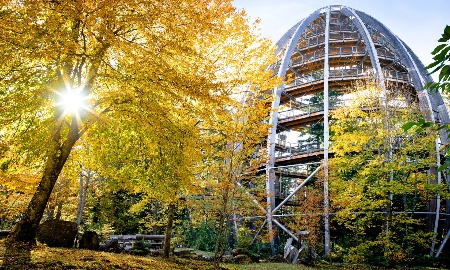 Herbstferien-Programm am  Baumwipfelpfad Bayerischer Wald