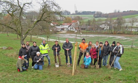 Unterricht, der Früchte trägt: Schülerinnen pflanzen Obstbäume in Thiersbach
