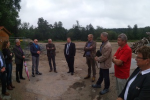 Aus Feierabendbussen sollen Rufbusse werden