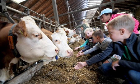 Aktiv-Wochen „Frühling.Erlebnis Bauernhof“ starten im April