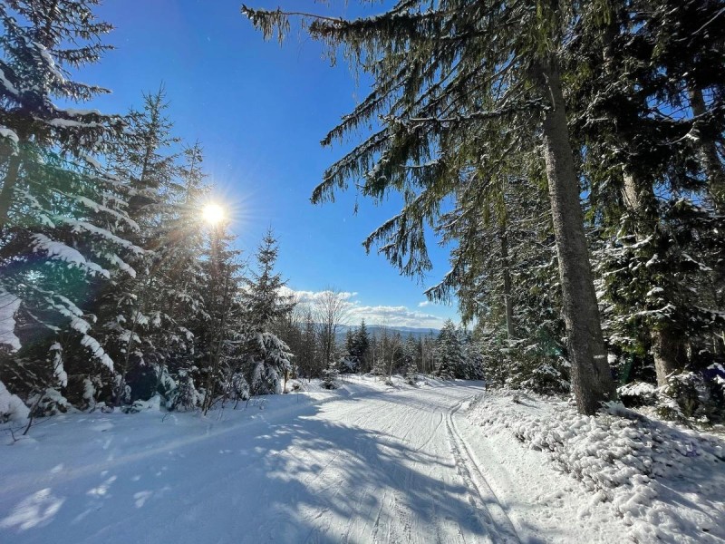 Flyer/Grafik zum Event: Chamer Hütte-Schneeschuhtour mit Rodelspaß am So., 14.01.2024 - Sa., 15.02.2025 von 11:00 bis 17:00 Uhr