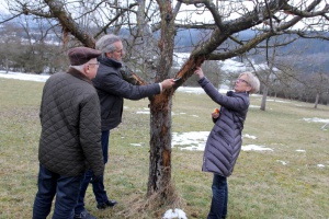 Winterbesuch im Kreislehrgarten