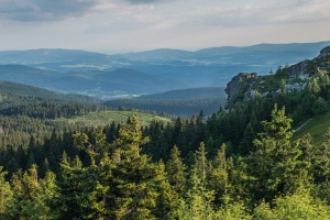 Grenzenlose Mikroabenteuer