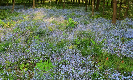 Die Eisheiligen blieben heuer aus