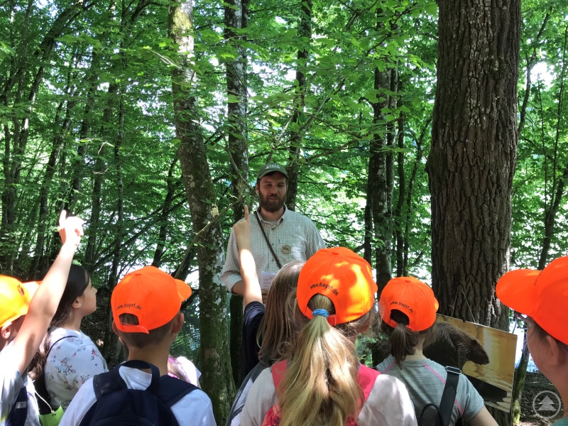 Spannende Aufgaben erwarten die Schüler auf ihrer Entdeckungsreise mit ihrem Forstpaten