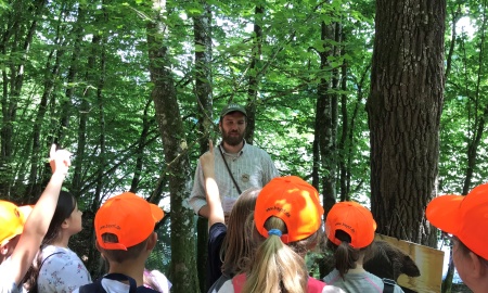 Internationale Waldjugendspiele im Neuburger Wald 2024