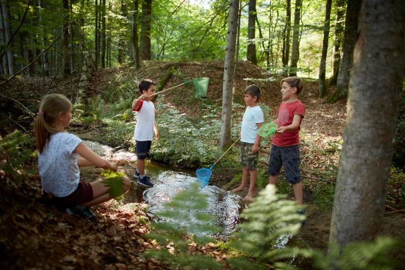 Flyer/Grafik zum Event: Kreatives Walderleben am Mi., 11.06.2025 - Mi., 18.06.2025