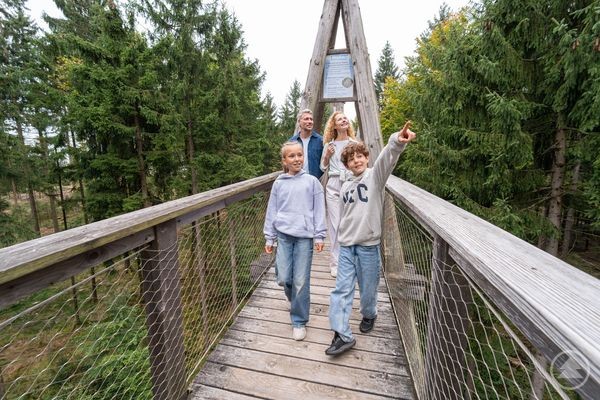 Die WaldEntdeckerWelt in Kopfing lädt Familien ein, den Wald aus neuen Perspektiven zu entdecken. Eine Familie spaziert über einen hölzernen Baumwipfelpfad im Wald, während die Kinder neugierig nach vorne zeigen.