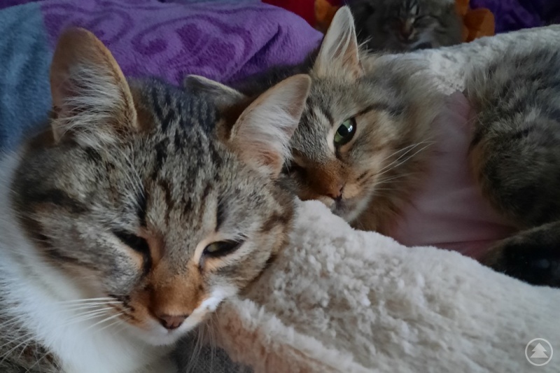 Bina fühlt sich schon richtig wohl.