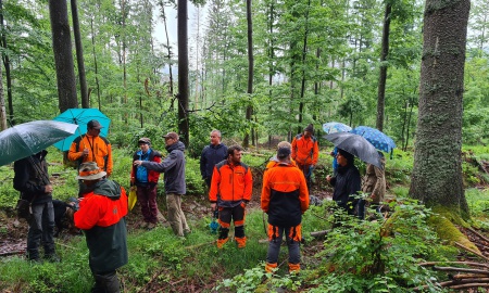 Ein Leitfaden für ökologisch wertvolle Waldflächen