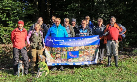 Experten treffen sich bei Pilztagen in Sankt Oswald