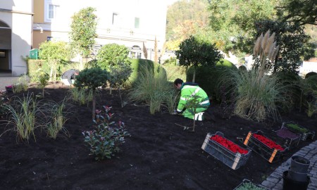 Herbst- und Winterpflanzung in der Stadt Passau
