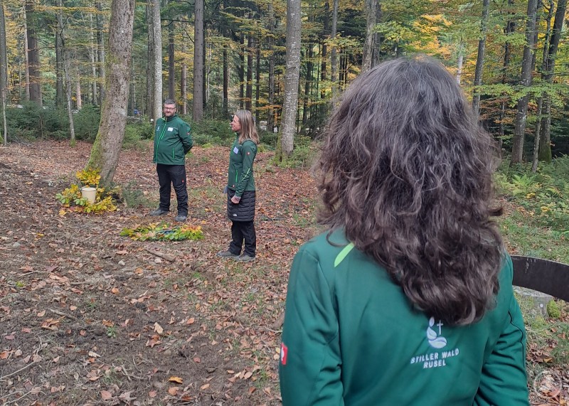 Drei Personen in grüner Arbeitskleidung stehen im herbstlichen Wald. Eine Frau im Vordergrund blickt auf zwei Kolleginnen, die zwischen den Bäumen stehen und etwas erklären.