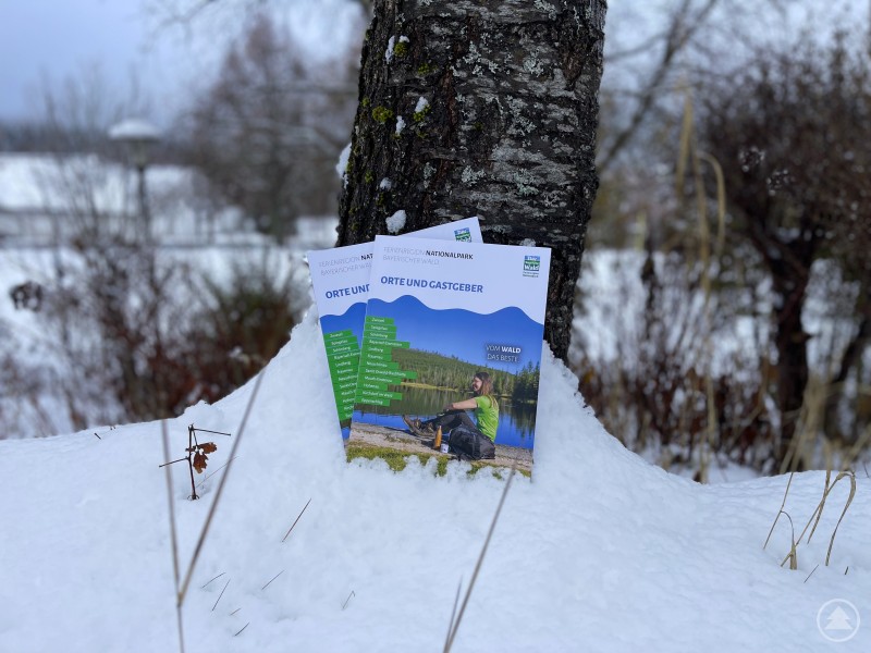 Pünktlich zum Wintereinbruch ist nun auch das neue Gastgeberverzeichnis 2026 der Ferienregion Nationalpark Bayerischer Wald erhältlich Zwei Exemplare des neuen Gastgeberverzeichnisses 2026 der Ferienregion Nationalpark Bayerischer Wald lehnen an einem verschneiten Baumstamm. Die Broschüren heben sich farbig vom winterlichen Hintergrund mit Schnee, Bäumen und leicht nebliger Landschaft ab.