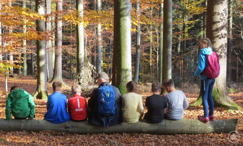 Im Wald beim Wessley Haus.