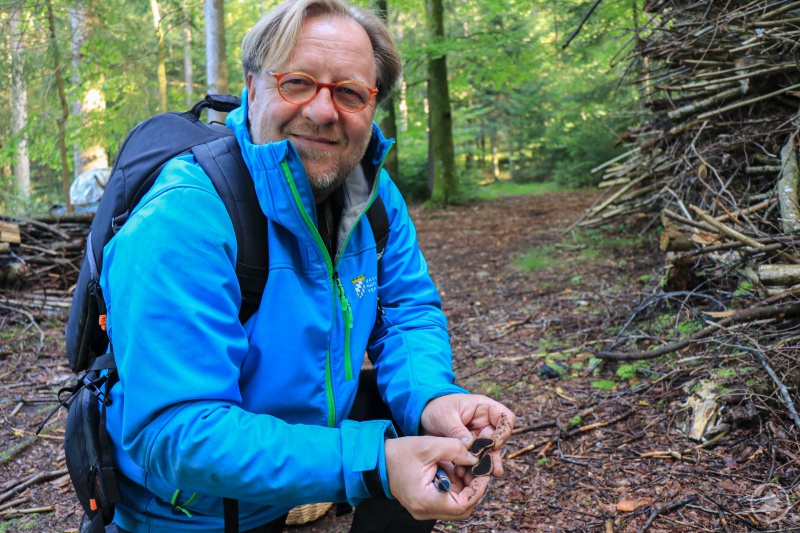Mykologe Peter Karasch findet mit Trüffelhund Snoopy häufig Hirschtrüffel. Diese sind für Menschen ungenießbar.