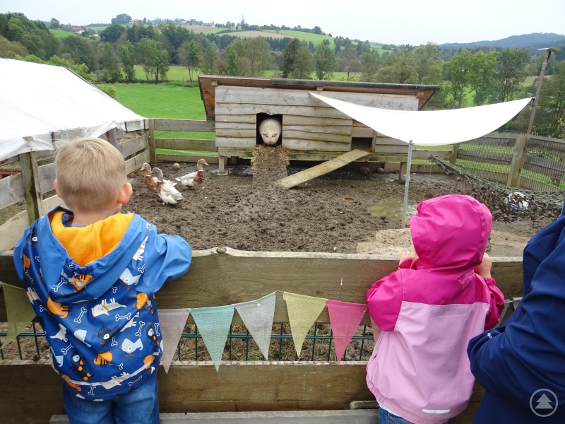 Auf Einladung des Landratsamtes Freyung-Grafenau trafen sich die Pflegefamilien mit den langjährigen sowie neuen Mitarbeiterinnen und Mitarbeitern des Jugendamtes. Vor allem die Kinder hatten Spaß beim Beobachten der Tiere auf dem Erlebnisbauernhof.