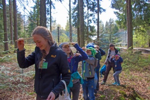 Beim Ferienprogramm mit allen Sinnen den Wald entdecken