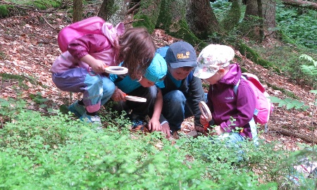 Beim Ferienprogramm den Wald spüren