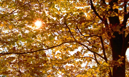 Bayerwaldwetter - Oktober 2023