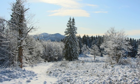 Mit Schneeschuhen zum Lindberger Schachten