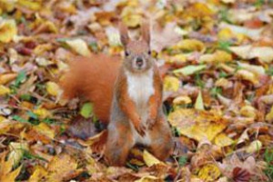 Herbstzeit ist Wanderzeit