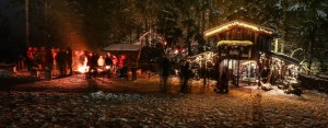 Schweinhütter Waldweihnacht 2025