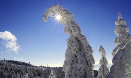 Winterwetter 2025/2026