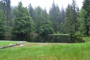 SommerSpezial (2): Der Wald und seine Menschen