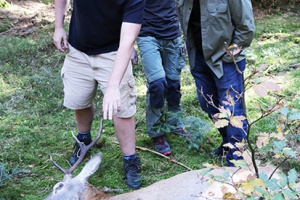 Aas-Forscher aus den USA und Deutschland tauschen sich aus