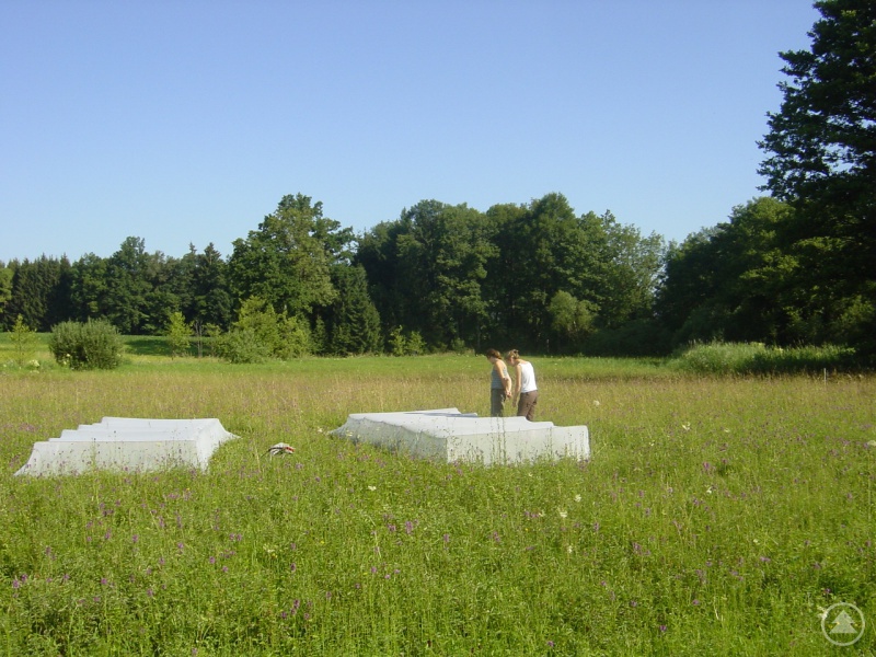 Insektenforscher bestätigen in jahrelangen Untersuchungen massive Verluste an Biomasse bei Fluginsekten.