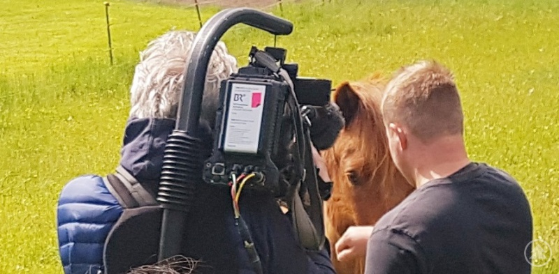 Fachgebietsleitung Barbara Wolf (li. unten) ist auch ausgebildete Reitlehrerin. Wenn „Not am Mann“ ist, greift sie schon auch mal auf ihre Isländer als Therapeuten zurück.