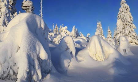 Wärmster Dezember im Bayerwald!