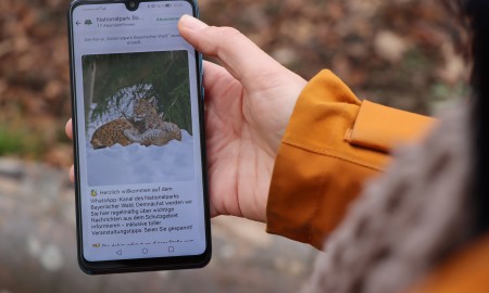 Nationalpark-Infos via WhatsApp