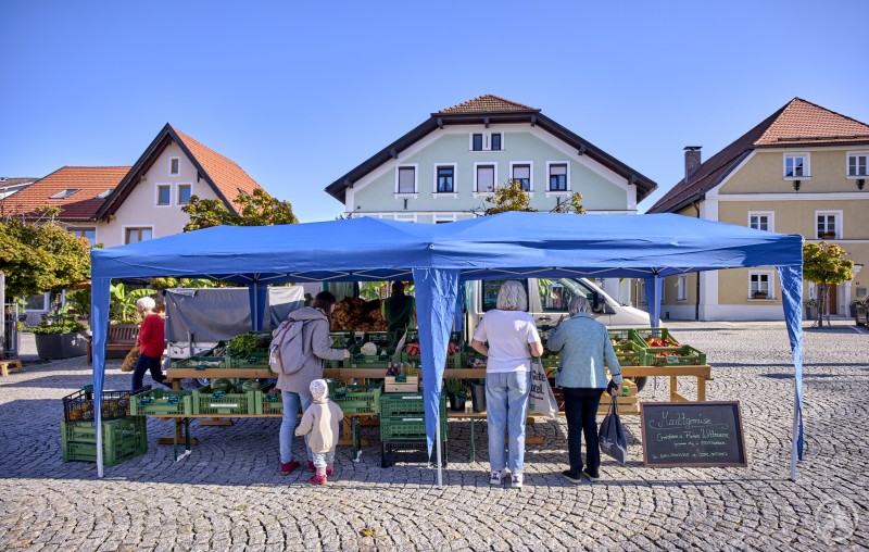 Marktstand unter blauem Pavillon, Besucher wählen frisches Gemüse und Obst aus grünen Kisten.