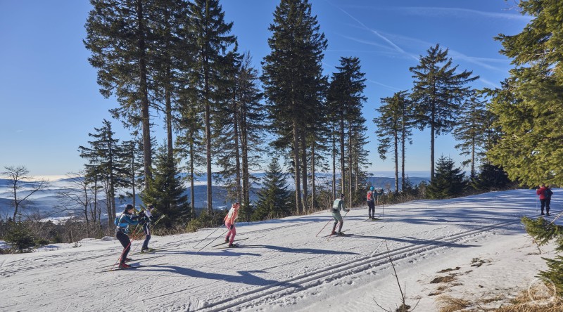 Langl&auml;uferinnen und Langl&auml;ufer gleiten bei sonnigem Wetter auf einer bestens pr&auml;parierten Loipe durch einen verschneiten Nadelwald mit weitem Blick auf die Berge des Bayerischen Waldes.