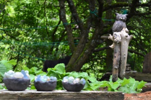 Regionale Kunst und Handwerk: Pia Gerber, Wolfenhaus