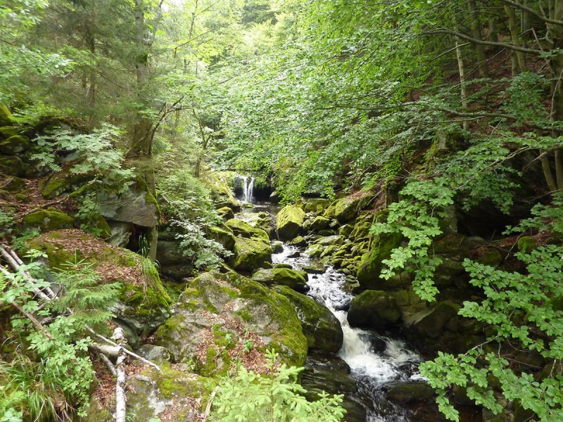 Flyer/Grafik zum Event: Wanderung durch die Steinklamm am Di., 22.10.2019 von 13:00 bis 15:30 Uhr