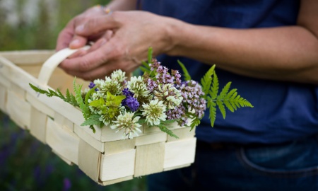 Kräuterführung im Freilichtmuseum Finsterau am 21. August