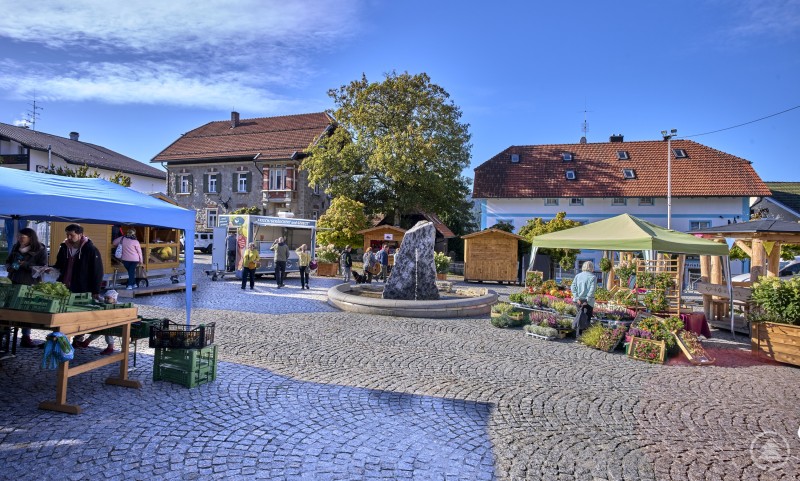 Überblick über den belebten Marktplatz mit verschiedenen Ständen, Blumen, Pavillons und Besuchern bei sonnigem Wetter.