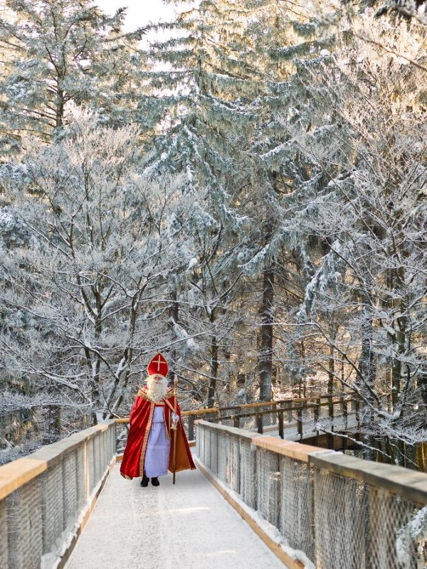 Flyer/Grafik zum Event: Nikolaus auf dem Baumwipfelpfad am Sa., 06.12.2025 von 10:00 bis 14:00 Uhr