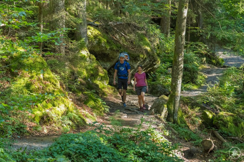 Zwei Wandernde gehen auf einem schmalen Waldpfad durch moosiges Gel&auml;nde.